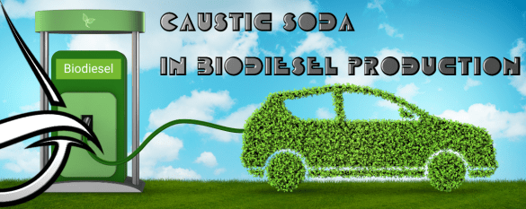 caustic soda for biodiesel