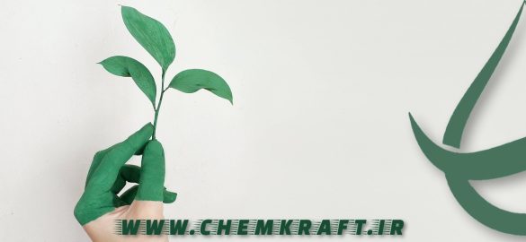 Chemkraft environmentally friendly packaging