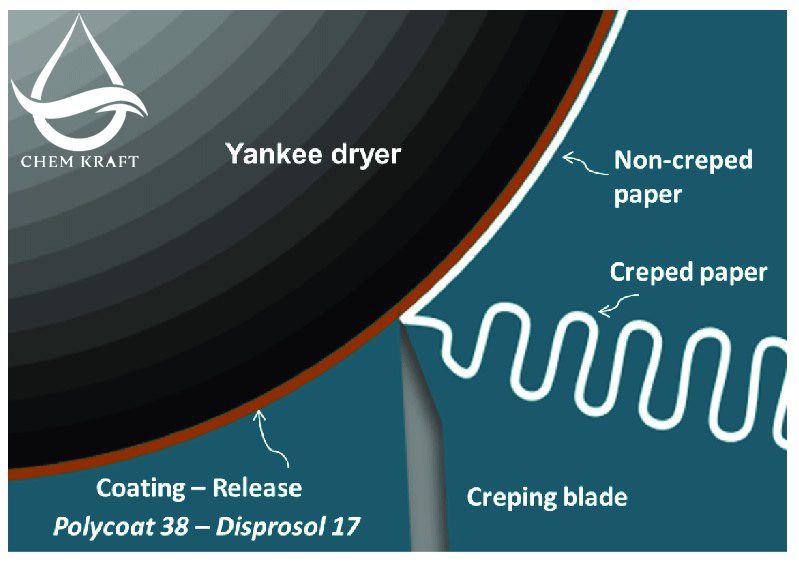 پوشش غلطک یانکی